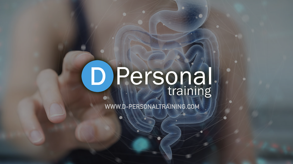GALT INTESTINO SISTEMA IMMUNITARIO E SALUTE David Bertoli Personal Trainer Lifestyle Coach Faenza