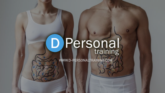 GALT INTESTINO SISTEMA IMMUNITARIO E SALUTE David Bertoli Personal Trainer Lifestyle Coach Faenza